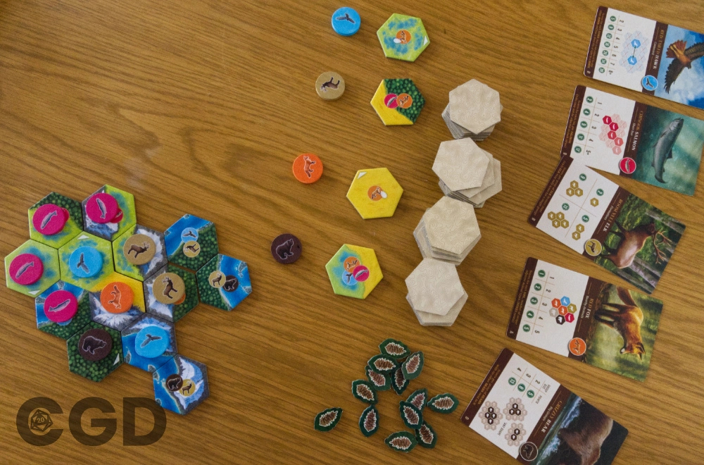 Cascadia Board Game Player Hand Tile Placement